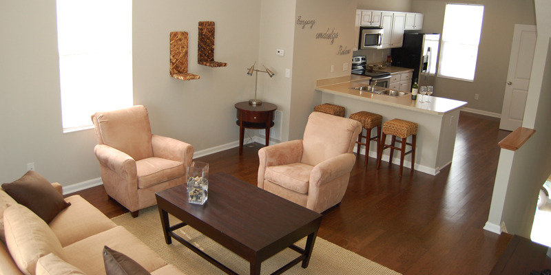 Living Room | Hamburg Farms Condos