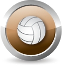 Pro V-ball Courts